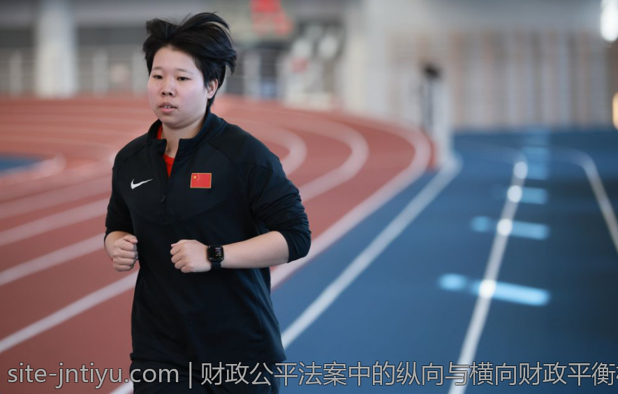 财政公平法案中的纵向与横向财政平衡机制
