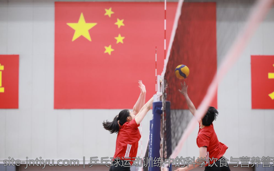 乒乓球运动训练中的科学饮食与营养管理